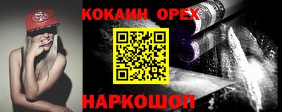 стаф Дубна