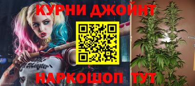 стаф Дубна