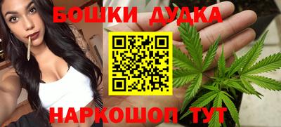 стаф Дубна