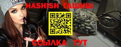 стаф Дубна