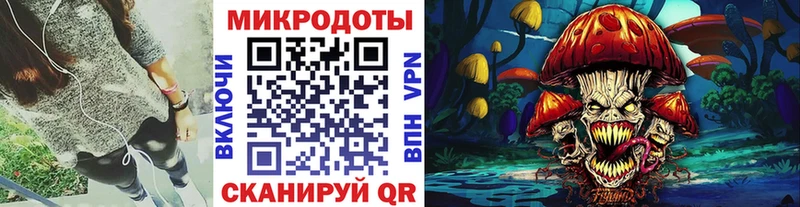 Галлюциногенные грибы Psilocybine cubensis  Чернушка 