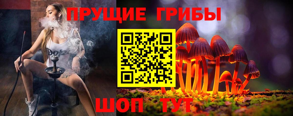 Чернушка  Псилоцибиновые грибы мухоморы  Вход с VPN 